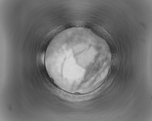 X0000114430047200911131341