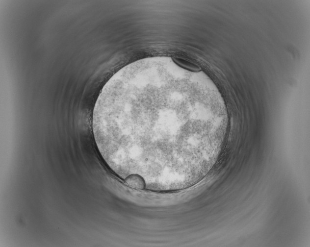 X0000114430048200911131340