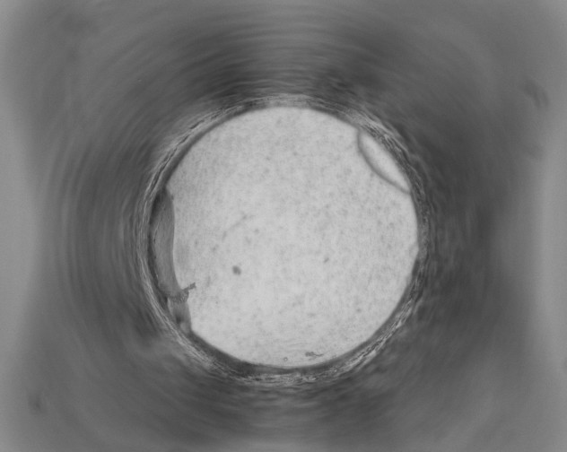 X0000114430049200911131340