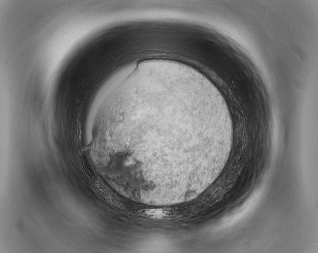 X0000114430050200911131340