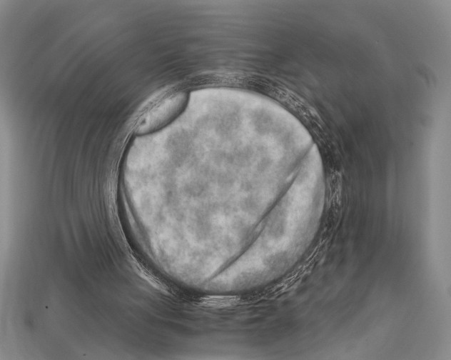 X0000114430051200911131340