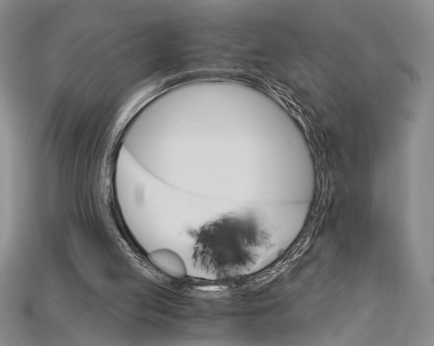 X0000114430053200911131340