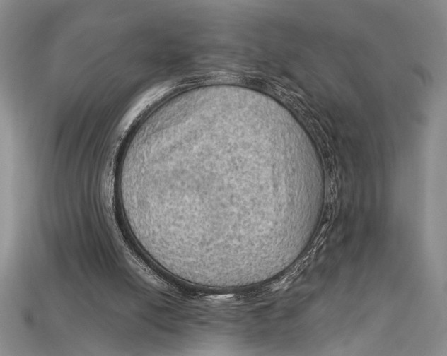 X0000114430054200911131340