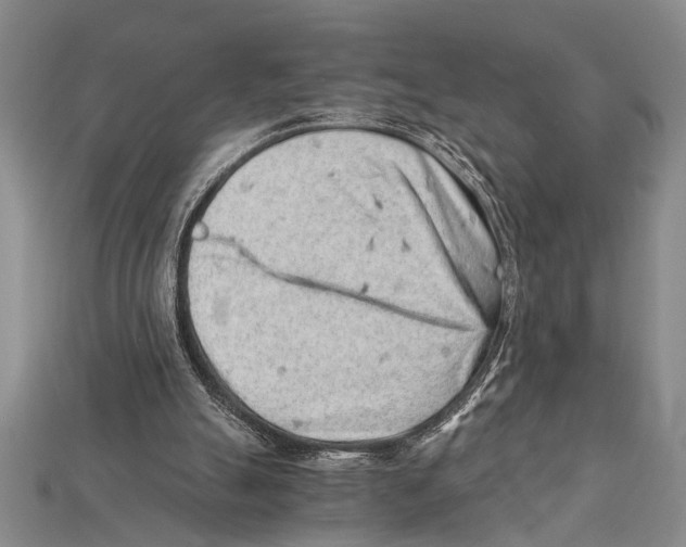 X0000114430055200911131340