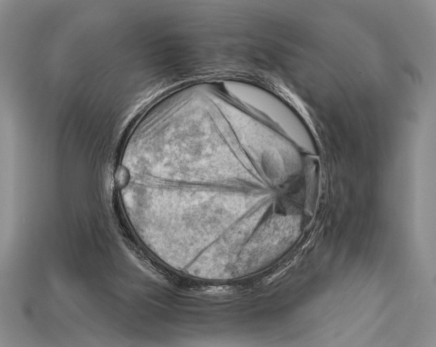 X0000114430059200911131340