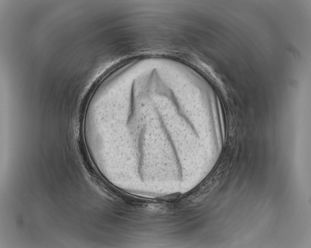 X0000114430060200911131340