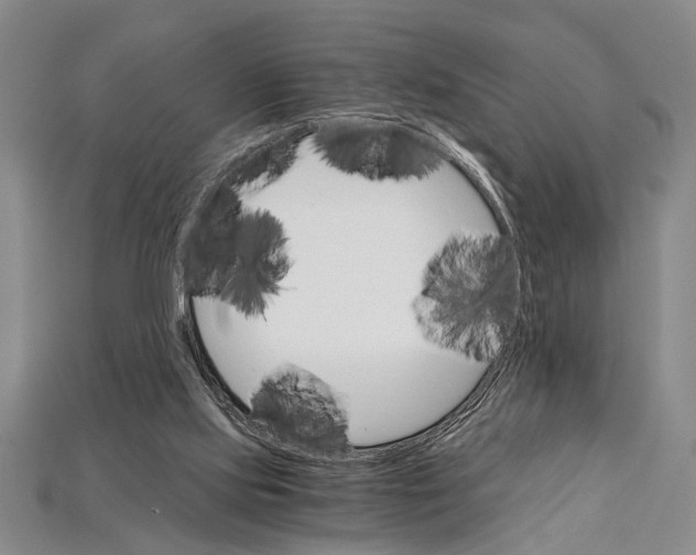 X0000114430061200911131340