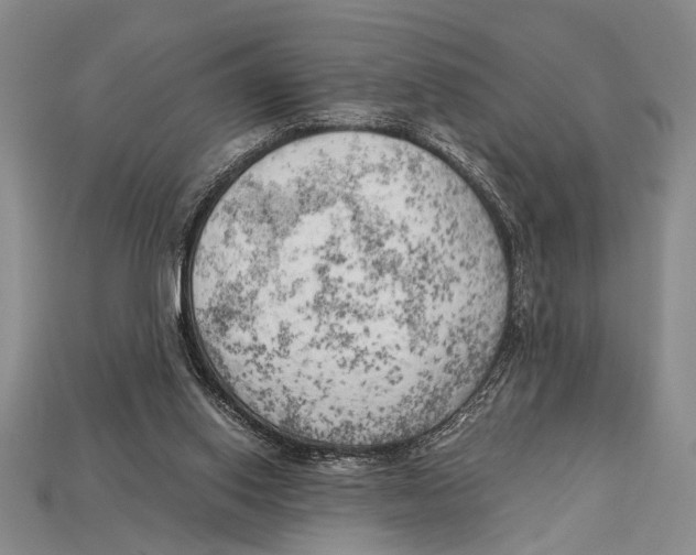 X0000114430062200911131340