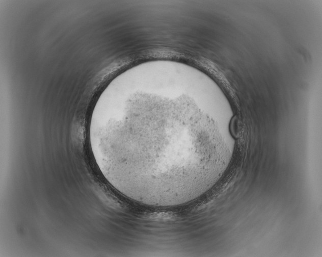 X0000114430063200911131340