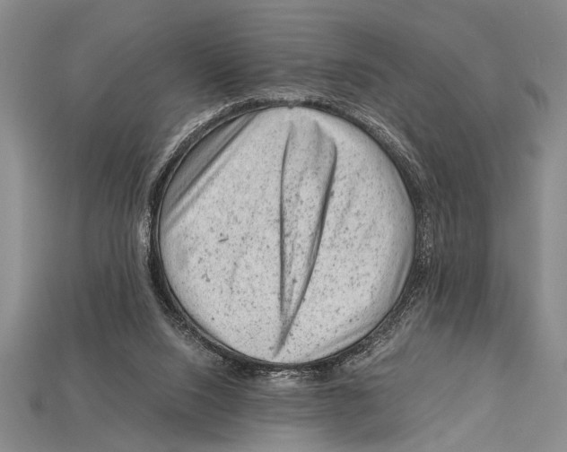 X0000114430064200911131340