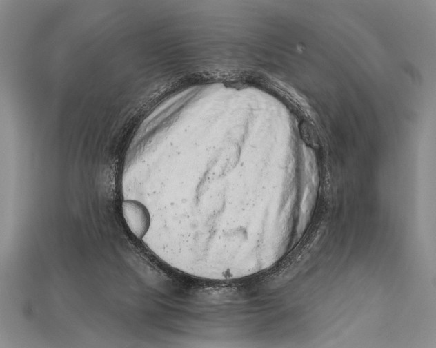 X0000114430065200911131340