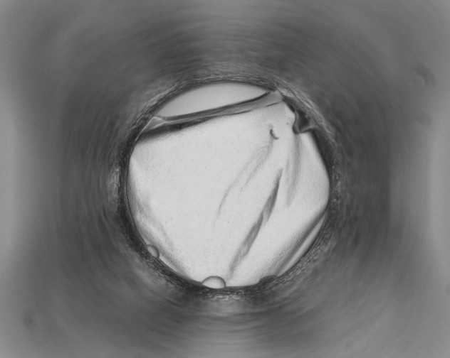 X0000114430066200911131340