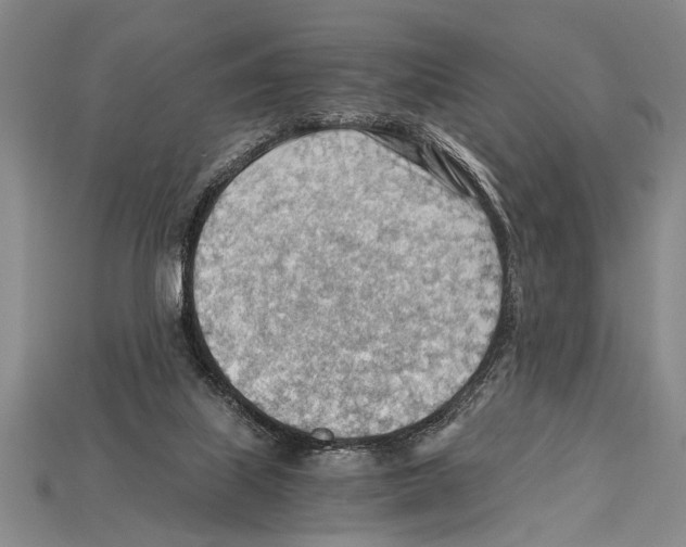 X0000114430067200911131340