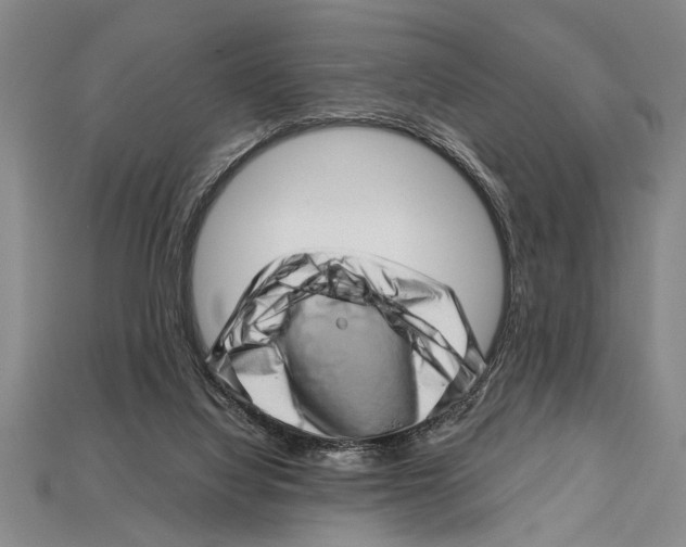 X0000114430068200911131340