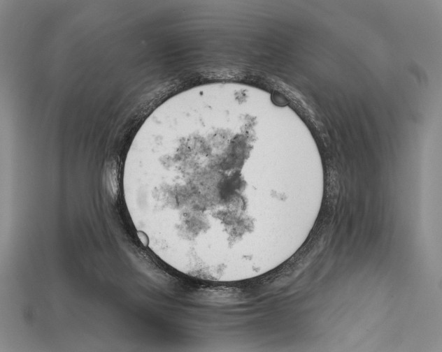 X0000114430069200911131340