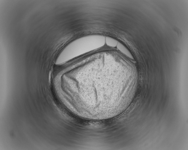 X0000114430070200911131340