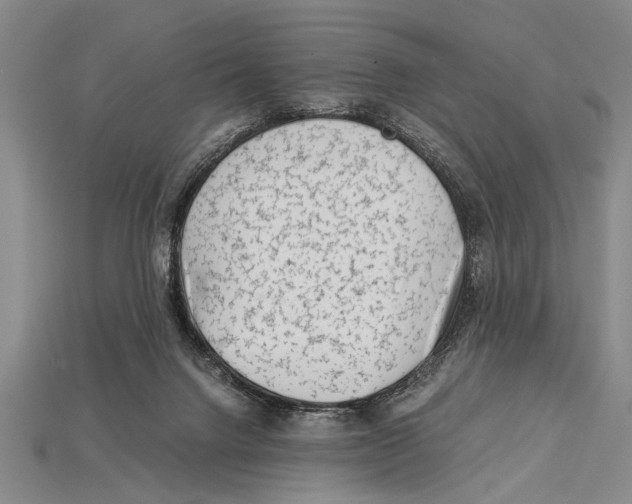 X0000114430072200911131340