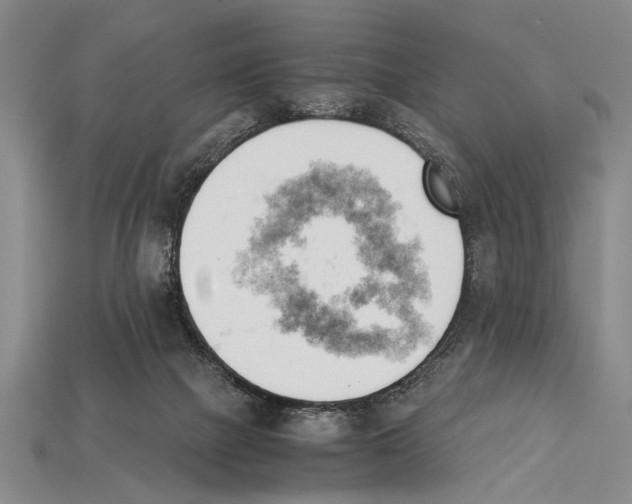 X0000114430073200911131340