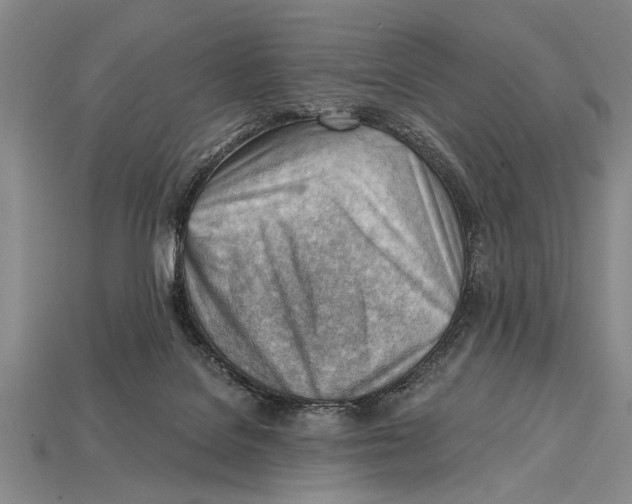 X0000114430076200911131340