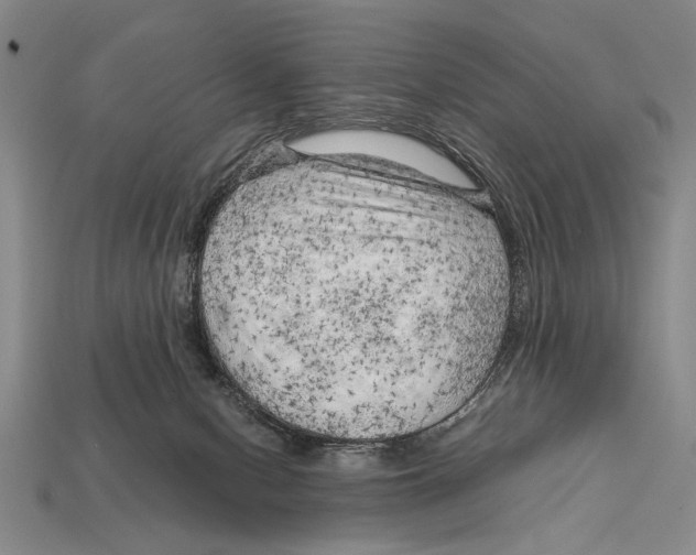 X0000114430078200911131340