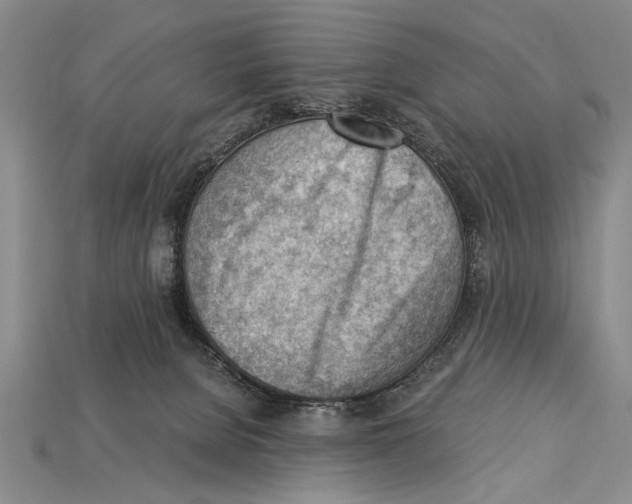 X0000114430080200911131340