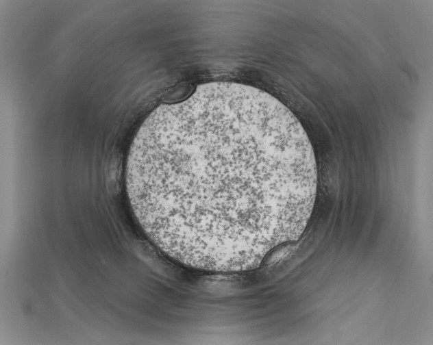 X0000114430082200911131340