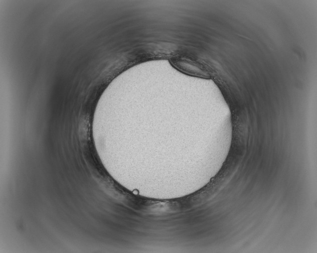 X0000114430083200911131340