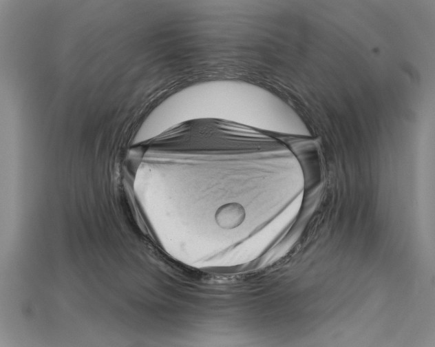 X0000114430084200911131340