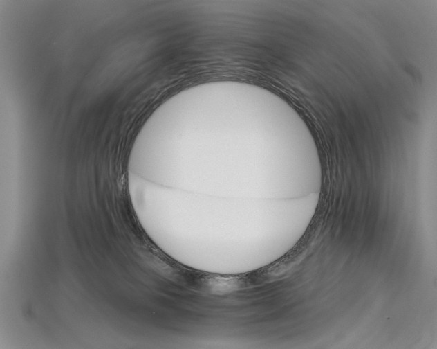 X0000114430085200911131340