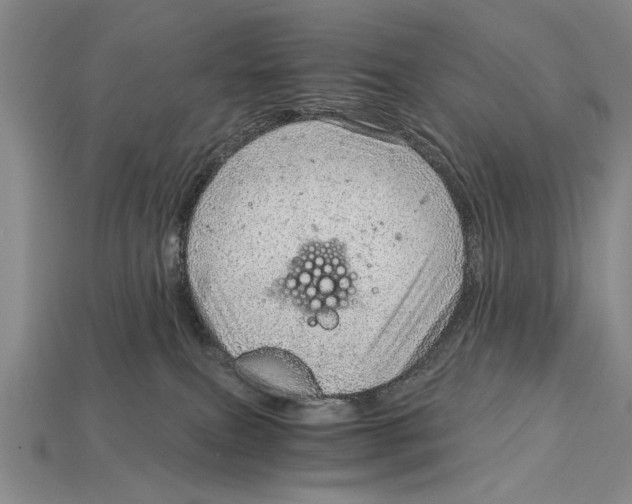 X0000114430087200911131340