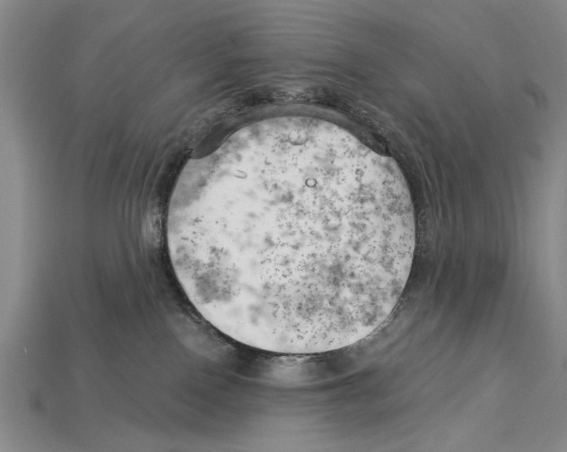 X0000114430090200911131340