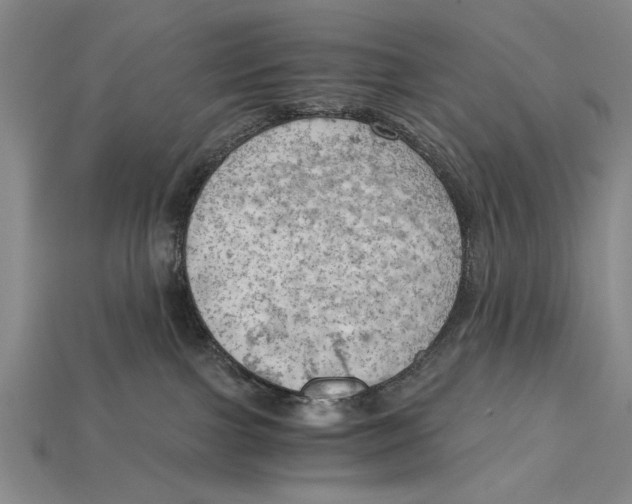 X0000114430091200911131340