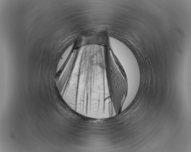 X0000114430092200911131340