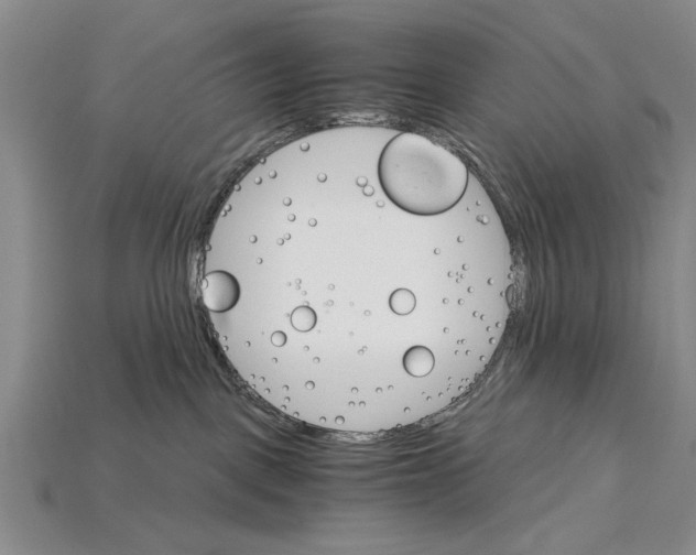 X0000114430093200911131340