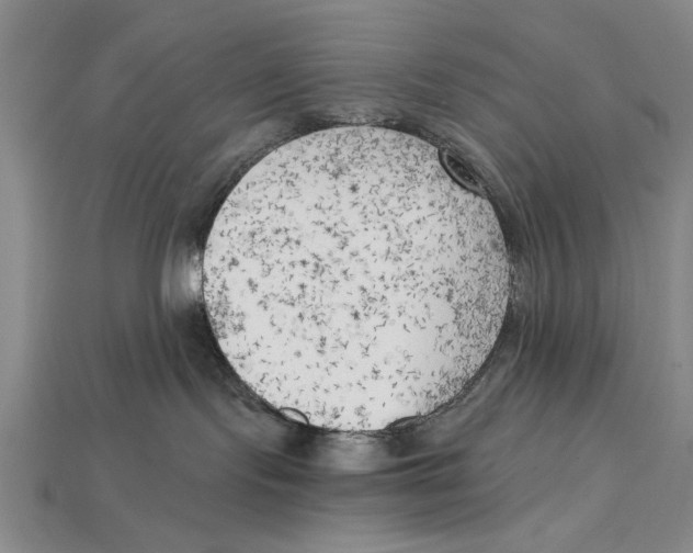 X0000114430095200911131340
