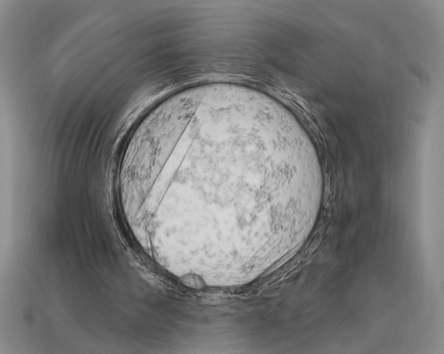 X0000114430098200911131340