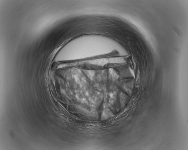 X0000114430099200911131340