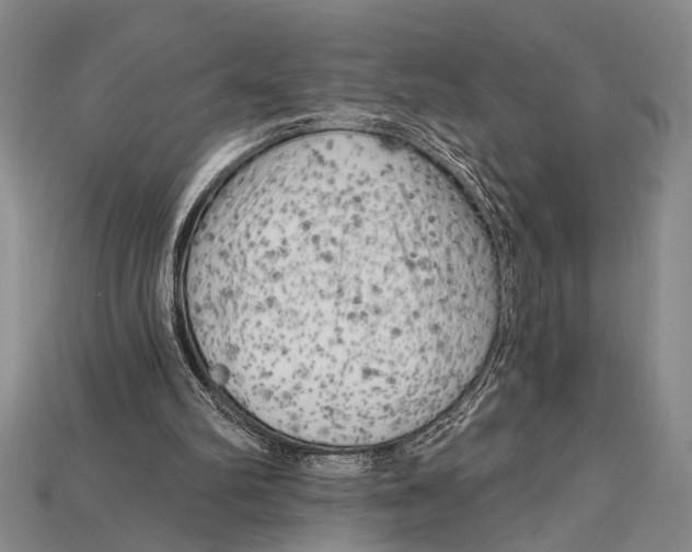 X0000114430102200911131340