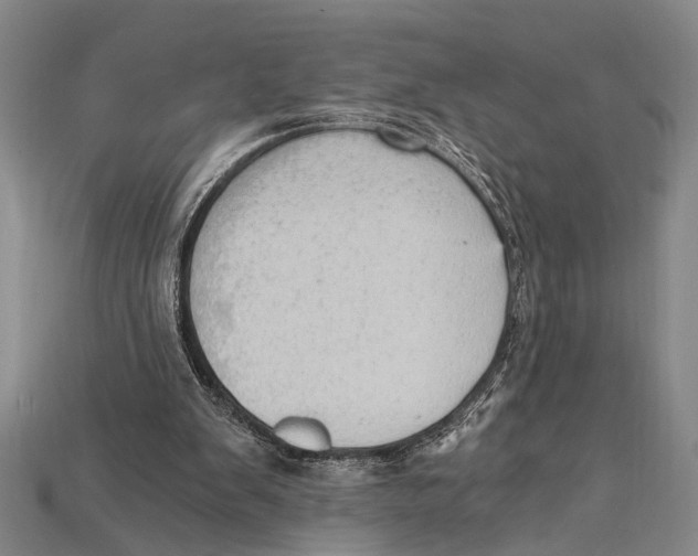 X0000114430103200911131340