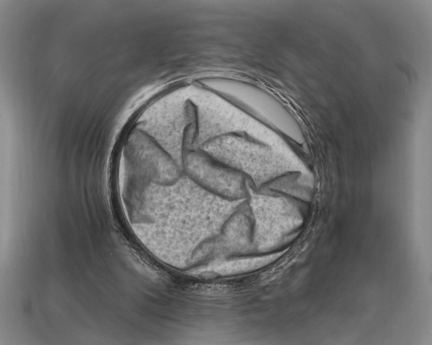 X0000114430104200911131340