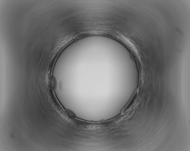 X0000114430105200911131340