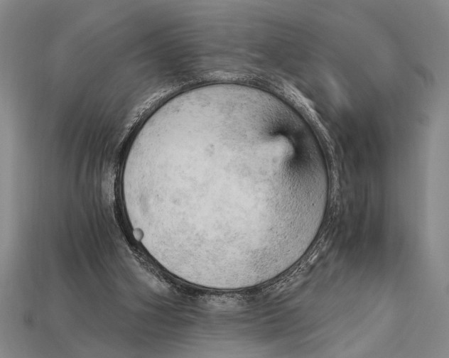 X0000114430106200911131340