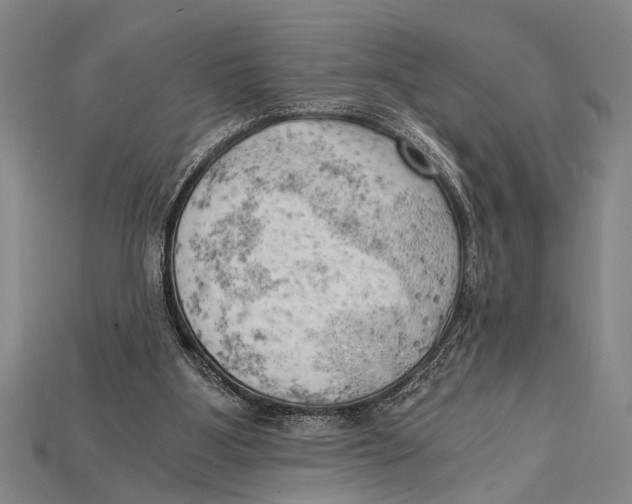 X0000114430107200911131340