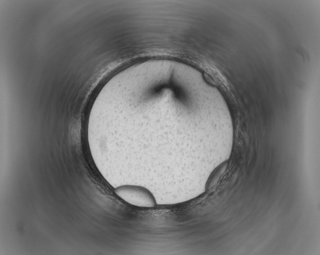 X0000114430108200911131340