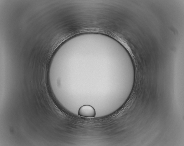 X0000114430109200911131340