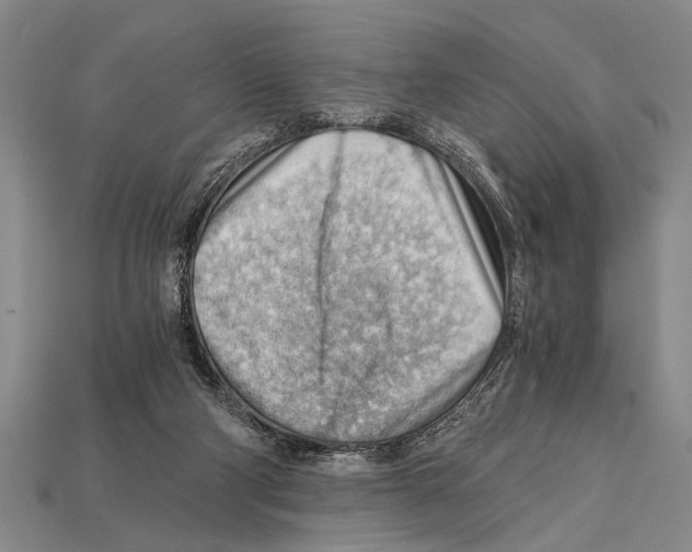 X0000114430114200911131340