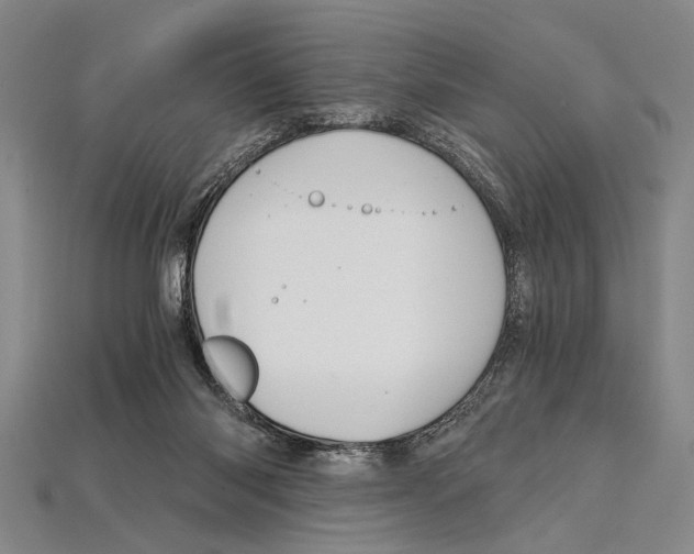 X0000114430118200911131340