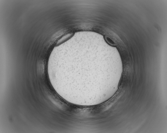 X0000114430120200911131340