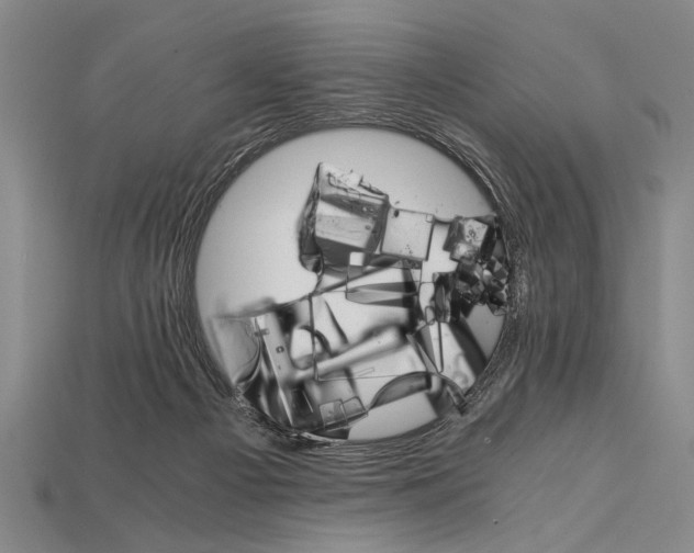 X0000114430121200911131340