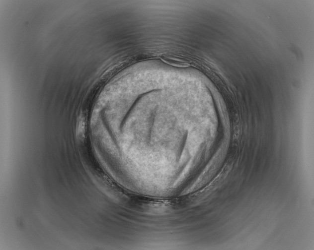 X0000114430124200911131340